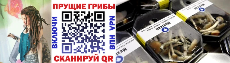 цены   Сосновоборск  сайты даркнета официальный сайт  Галлюциногенные грибы GOLDEN TEACHER 